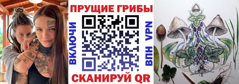 Псилоцибиновые грибы ЛСД  Покачи 