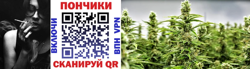 ссылка на мегу сайт  darknet телеграм  Шишки марихуана сатива  Покачи 